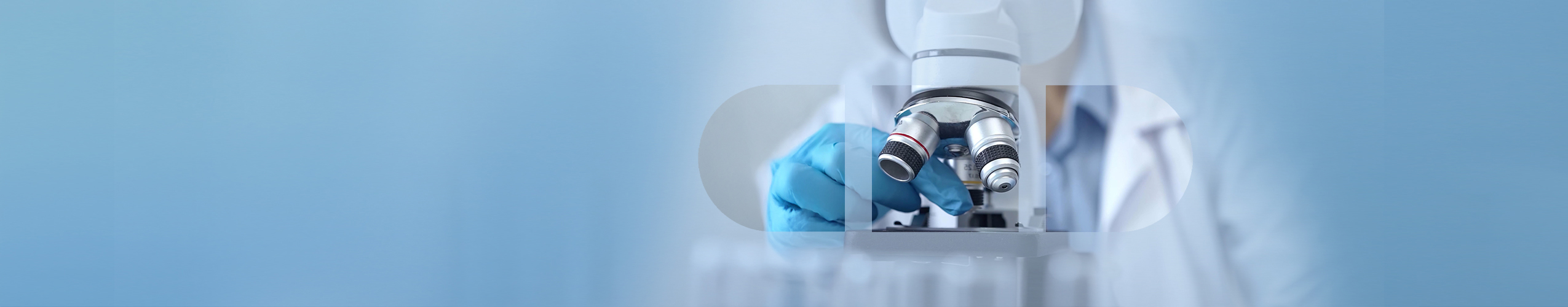 Our focus is   on premium quality  and maximum efficacy.